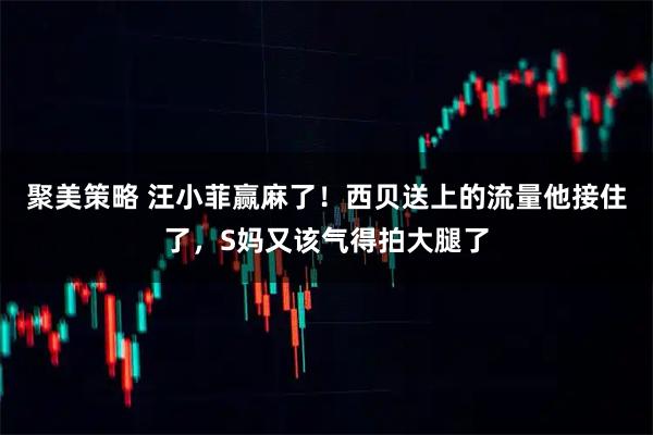 聚美策略 汪小菲赢麻了！西贝送上的流量他接住了，S妈又该气得拍大腿了