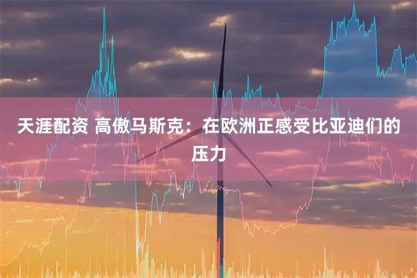 天涯配资 高傲马斯克：在欧洲正感受比亚迪们的压力